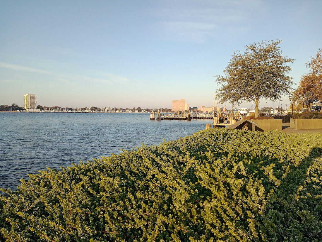 Early morning view of Elizabeth River from Sheraton Hotel, Norfolk, Virginia, 2019